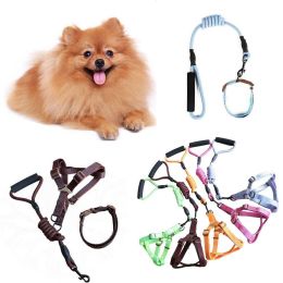 Dog Leash Two-color Machine Woven Nylon Handle Round Rope Pockmark Pet Chest Back Collar Pet Supplies (Color: Green)